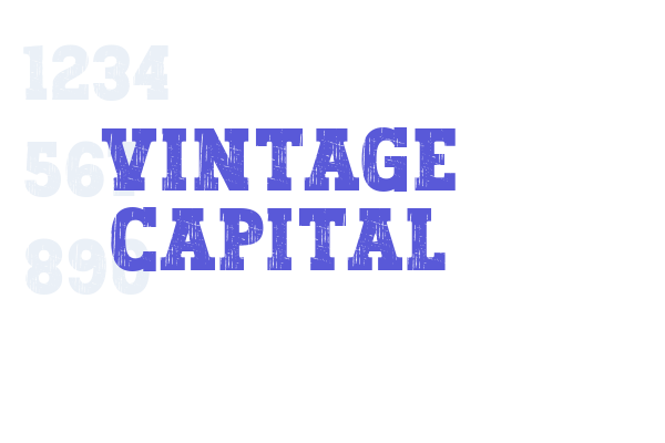 Vintage Capital