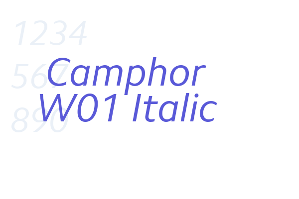 Camphor W01 Italic