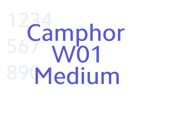 Camphor W01 Medium