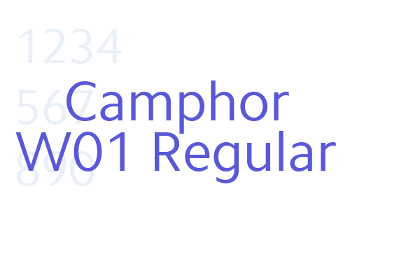 Camphor W01 Regular