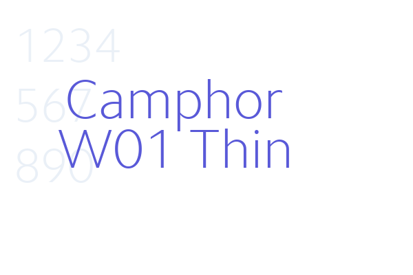 Camphor W01 Thin