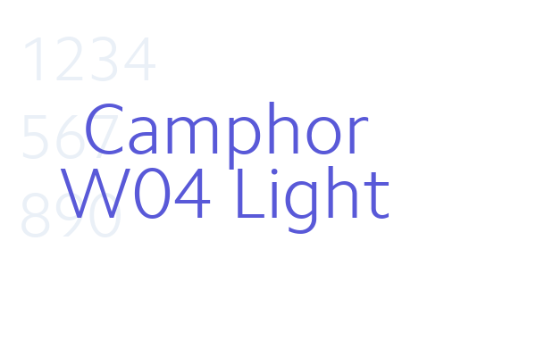 Camphor W04 Light