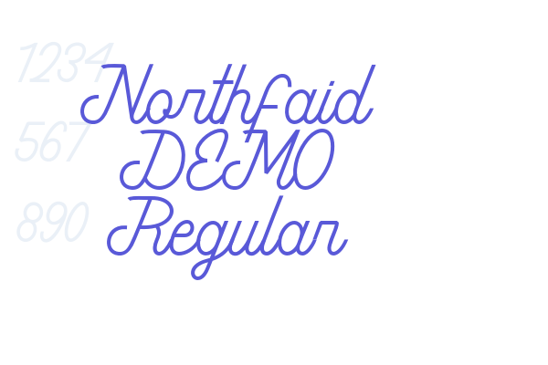 Northfaid DEMO Regular