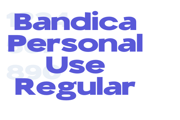 Bandica Personal Use Regular