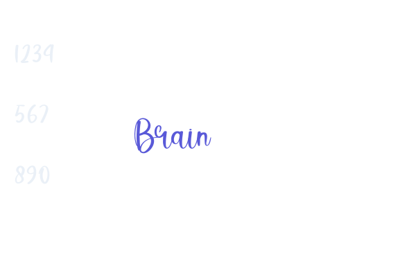 Brain