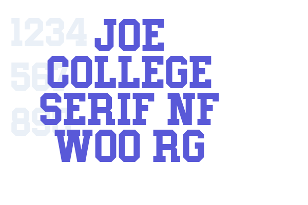 Joe College Serif NF W00 Rg