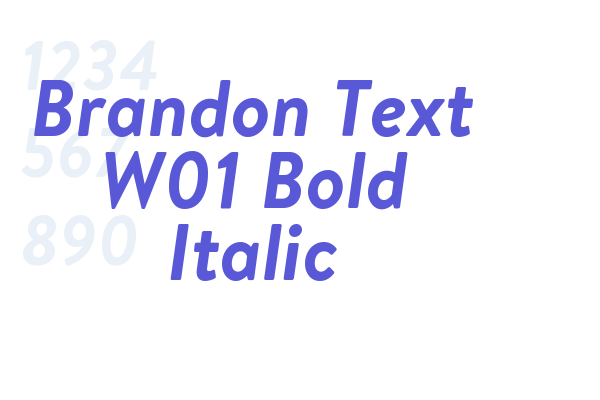 Brandon Text W01 Bold Italic