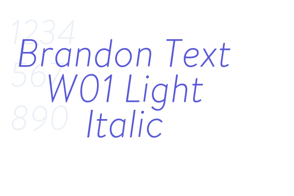 Brandon Text W01 Light Italic