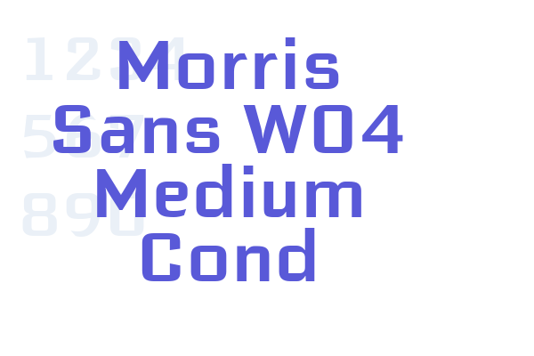 Morris Sans W04 Medium Cond