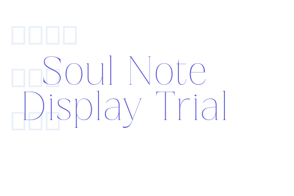 Soul Note Display Trial