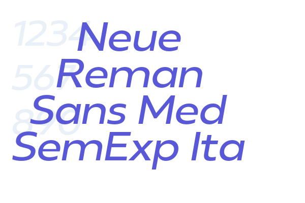 Neue Reman Sans Med SemExp Ita