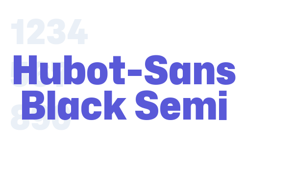 Hubot-Sans Black Semi