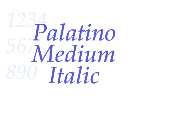 Palatino Medium Italic