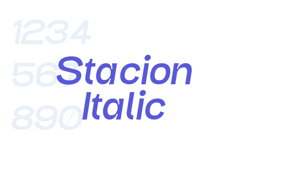 Stacion Italic