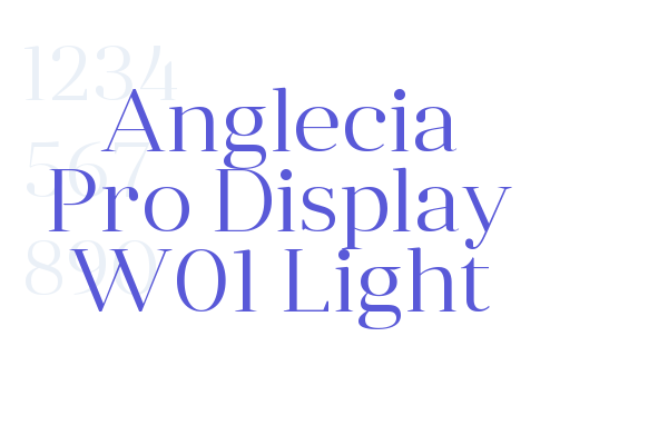 Anglecia Pro Display W01 Light