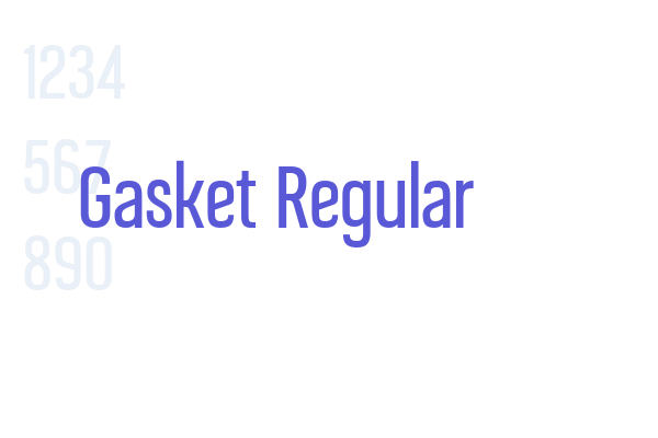 Gasket Regular