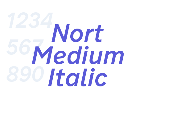 Nort Medium Italic