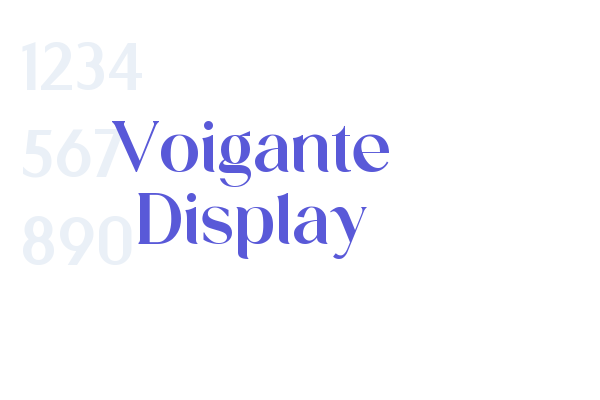 Voigante Display