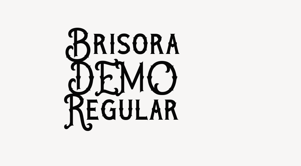 Brisora DEMO Regular