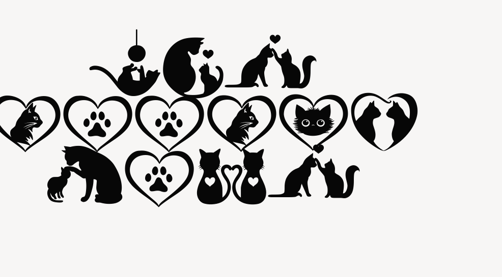 Cat Doodle Font