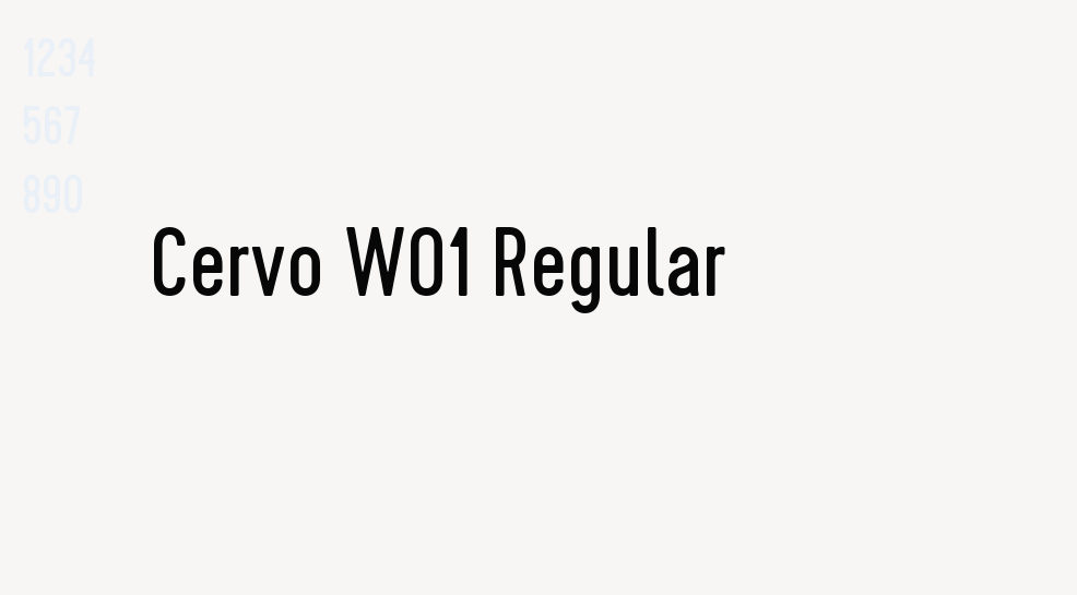 Cervo W01 Regular