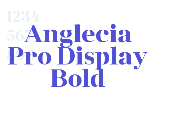 Anglecia Pro Display Bold font download