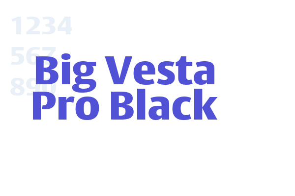 Big Vesta Pro Black