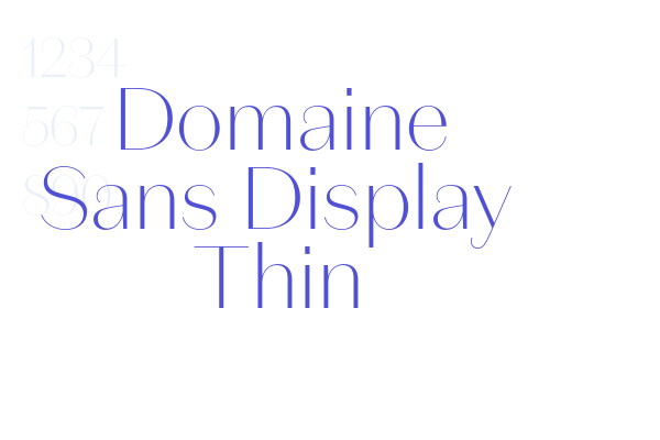 Domaine Sans Display Thin