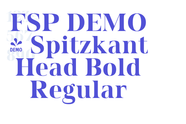 FSP DEMO – Spitzkant Head Bold Regular