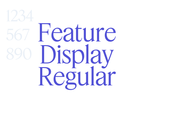 Feature Display Regular font download