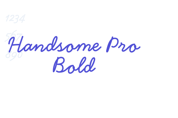 Handsome Pro Bold font download