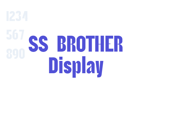 SS BROTHER Display font download