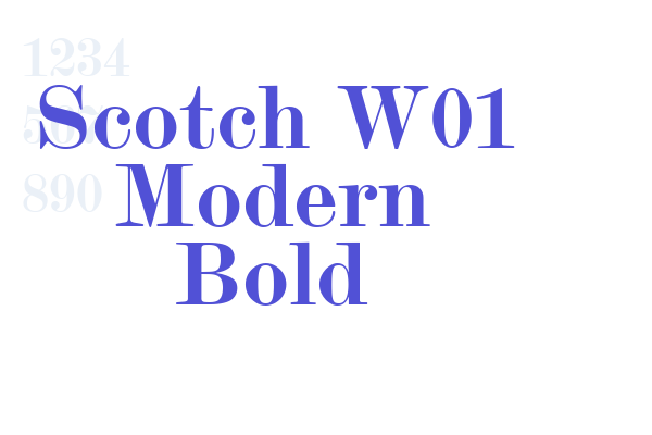 Scotch W01 Modern Bold