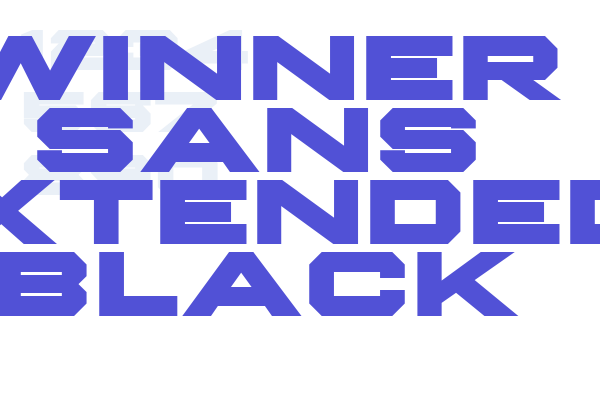 Winner Sans Extended Black