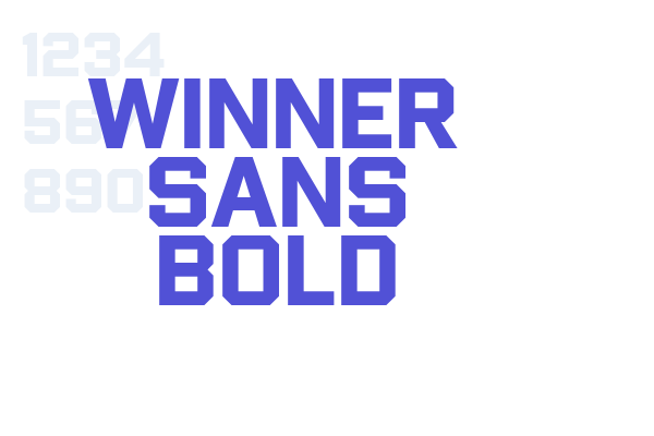 Winner Sans Bold font download