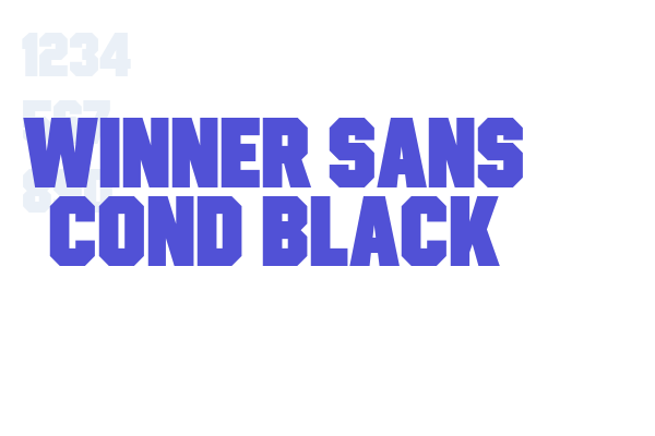 Winner Sans Cond Black font download