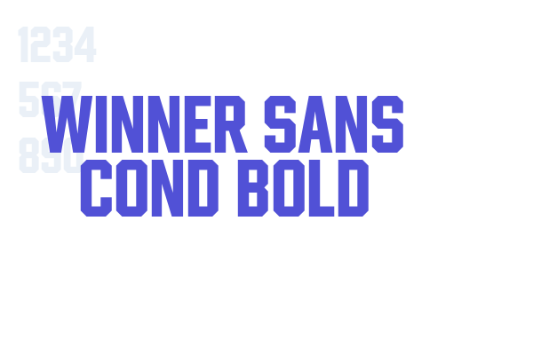 Winner Sans Cond Bold font download