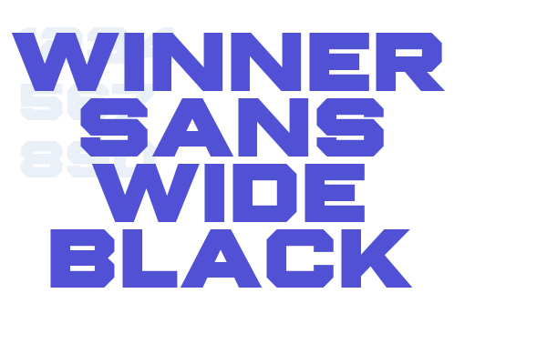 Winner Sans Wide Black font download