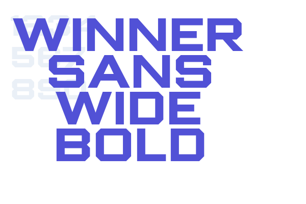 Winner Sans Wide Bold font download