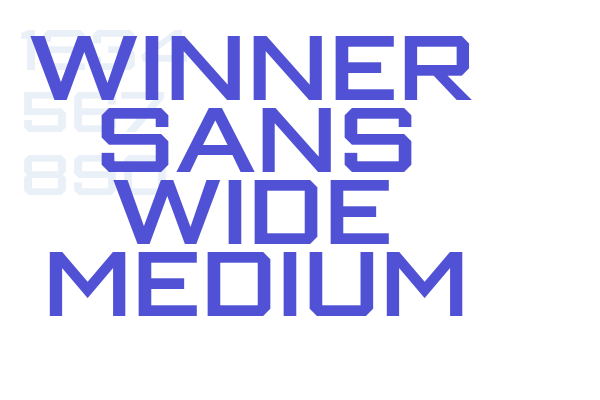 Winner Sans Wide Medium font download