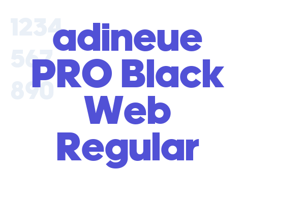 adineue PRO Black Web Regular