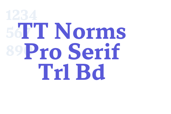 TT Norms Pro Serif Trl Bd