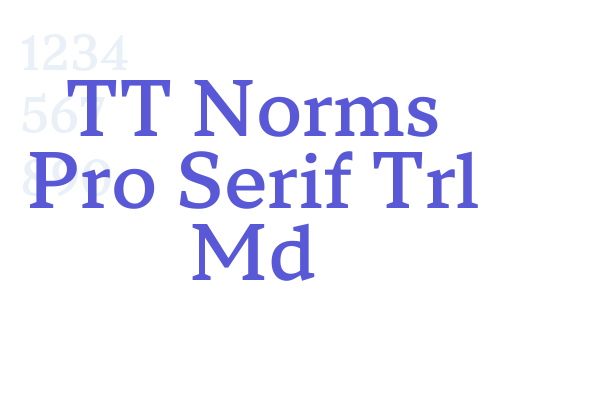 TT Norms Pro Serif Trl Md