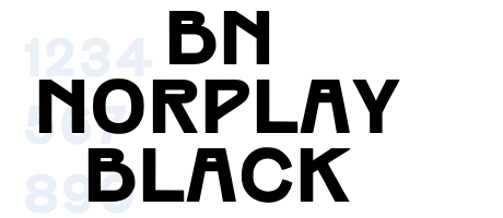 BN Norplay Black