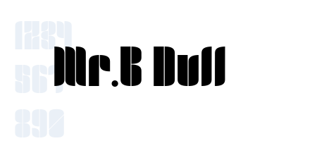 Mr.B Dull