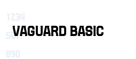 VAGUARD BASIC